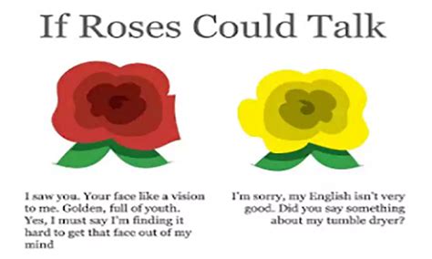 50+ Amazing Rose Day Funny Meme 2024 - QuotesProject.Com