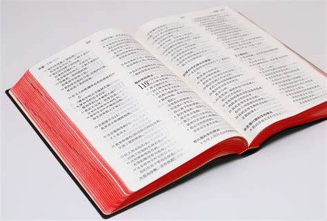 Chinese Bibles - UBS China Partnership | Bibles in China