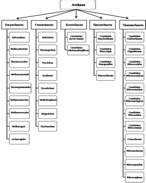 1 Classification of archaea according to growth conditions. | Download ...