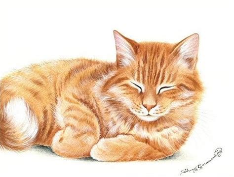 Ginger Cat Print Snoozing by Irina Garmashova | Cats illustration ...