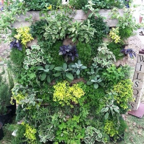 Pallet herb garden | ベランダ