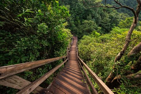 Ngong Ping 360 Rescue Trail - A Guide for Adventurous Hikers to Big Buddha