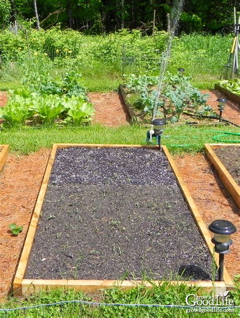 Planning Your Vegetable Garden: Mapping the Garden Beds