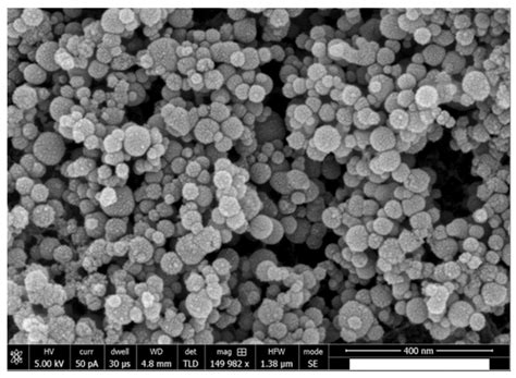 Polymers | Free Full-Text | Influence of Hydroxyapatite Nanospheres in ...