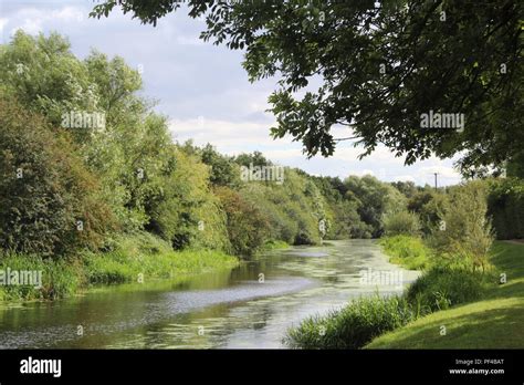 Canal towpath wildlife hi-res stock photography and images - Alamy