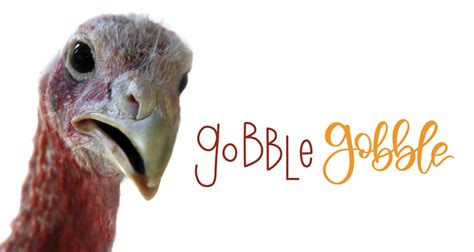 Gobble! Gobble! – Forsyth Family Magazine