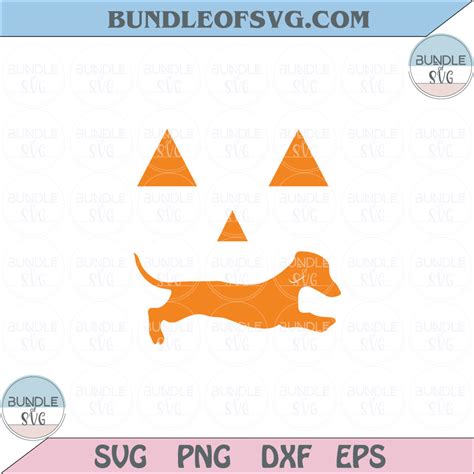 Halloween Pumpkin Dachshund Lover Svg Dachshund Pumpkin Svg Png