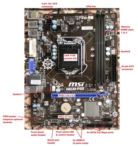 BOAMOT-464 - Stone / MSI H81M-P33 - Layout and Rear I/O ports - Stone ...