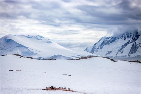 Antarctica Photography That Shows the Beauty of the Continent