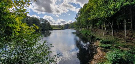 Winkworth Arboretum National Trust - Sit and Take In The View