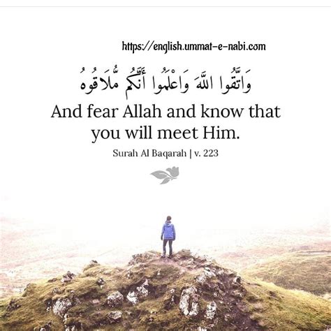 And fear Allah.... - English | Ummat-e-Nabi.com