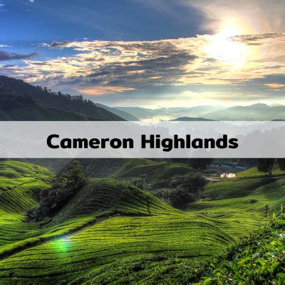 5 Best Cameron Highlands Attractions Waiting For You To Uncover - V6 Transport Agency