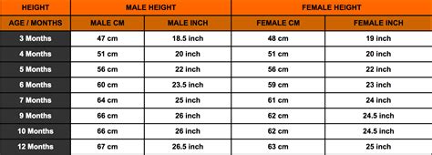 Rottweiler Growth Chart -Rottweiler Height Chart -Rottweiler Weight Chart - Rottweiler Life