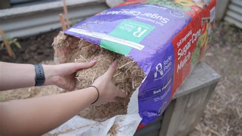 How To Apply Sugar Cane Mulch To Your Garden – TradePro Hardware