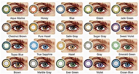 Eye Color Genetics Chart | Eye color chart, Eye color chart genetics ...