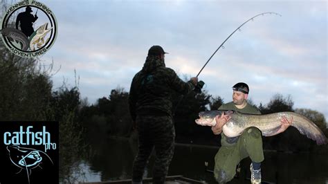 Monster Catfish Fishing UK - AMAZING session! - YouTube