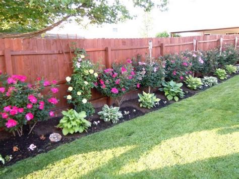 landscaping ideas along a privacy fence - Virgie Bello