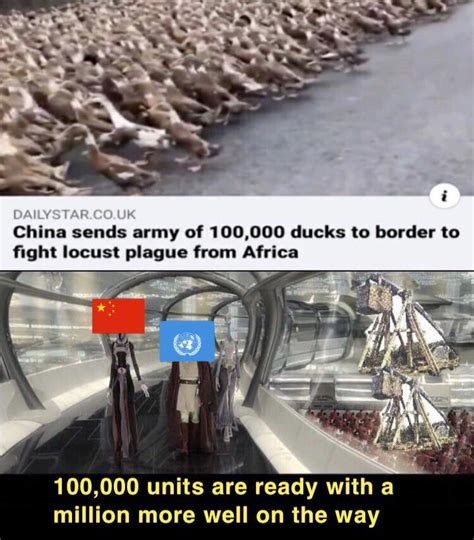 Duck Army Meme - you guys are getting paid