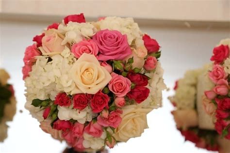 Free picture: elegant, vase, pinkish, carnation, petal, flowers, flora ...