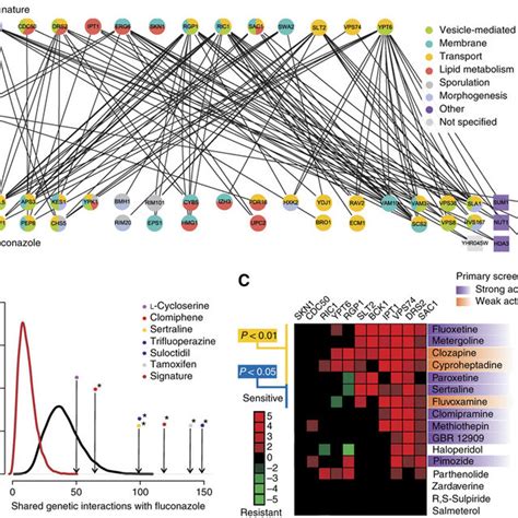 Synergistic drug interactions with fluconazole. (A) Heat map of drug ...