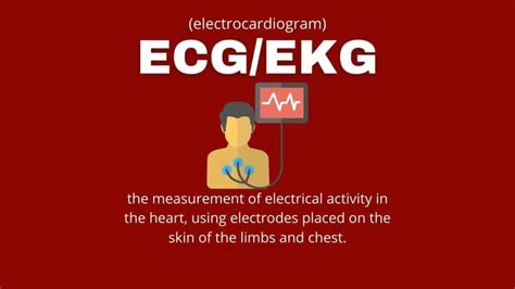 ECHO vs ECG vs EKG: What’s the Difference? - Capitalize My Title