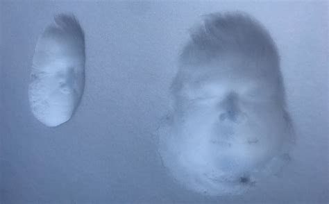 Make a Snowface and challenge your brain | Donders Wonders