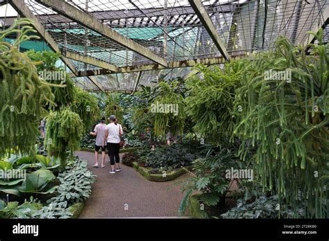 two people walking in greenhouse surrounded by tropical plants in ...