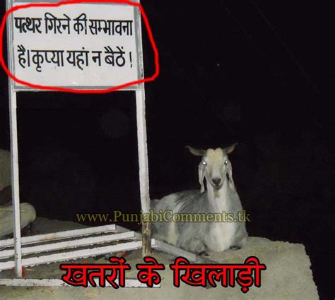 Punjabi Graphics and Punjabi Photos : NEW FUNNY HINDI COMMENTS/QUOTES WALLPAPER FREE DOWNLOAD