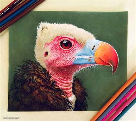 Color Pencil Drawing By Morgan Davidson 17