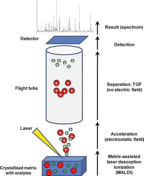 Using of MALDI-TOF in hospitals - Clover Bioanalytical Software