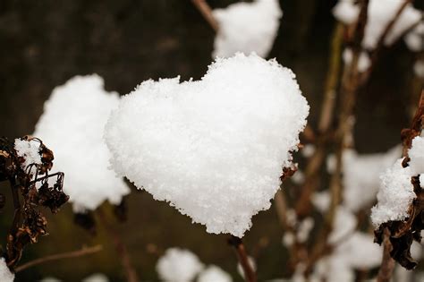 Heart Snow - Free photo on Pixabay - Pixabay