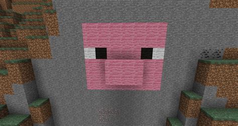 Pig Face Minecraft Map