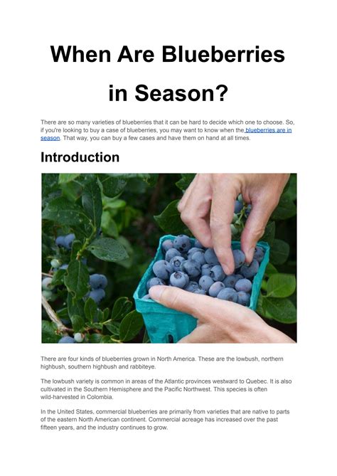 When Are Blueberries In Season? by mansfieldfarmersmarket - Issuu