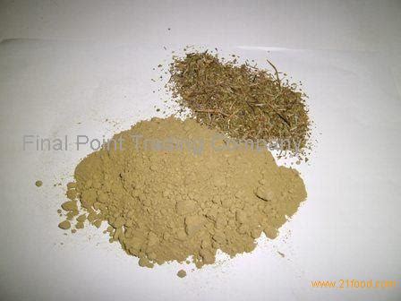 High quality dried guava leaf extract powder/Guava leaf powder/Guava leaf P.E. from South Africa ...