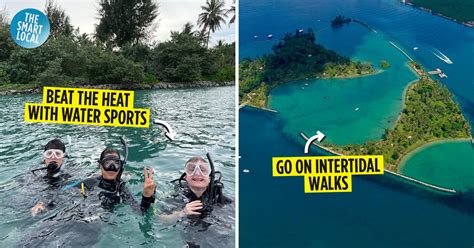 Pulau Hantu: SG's Own Tioman For Activites Like Diving & Snorkelling