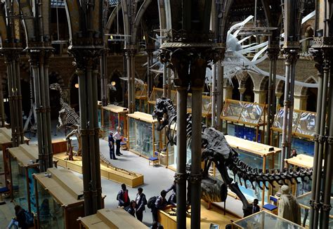 Oxford University Museum of Natural History | Natural Histor… | Flickr
