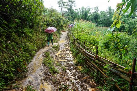 Guide to Trekking Sapa, Vietnam: Tips & Advice