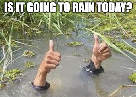 'Is It Going To Rain Today?' Memes to Brighten Your Day | FamilyMinded