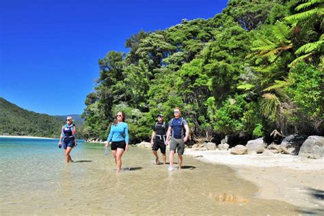 Abel Tasman Guided Walk | 10 Day South Island Abel Tasman Walk Pckg.