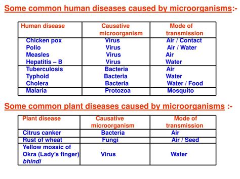 PPT - CHAPTER - 2 MICROORGANISMS : FRIEND AND FOE PowerPoint Presentation - ID:712407