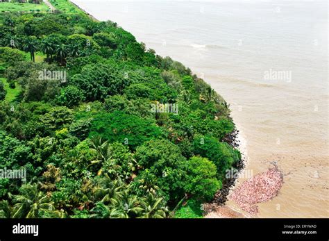 Mumbai port trust garden hi-res stock photography and images - Alamy