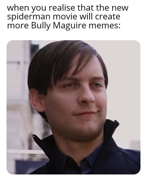 Bully Maguire is internet peak | /r/dankmemes | Know Your Meme