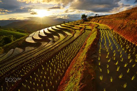 Chiang Mai rice terrace by Wanasapong Jaiinpol - Photo 113501895 / 500px