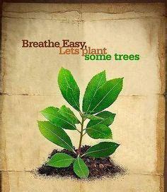 Quotes On Tree Plantation. QuotesGram