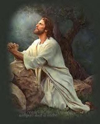 Jesus Is My Hero: How is your Prayer Life?