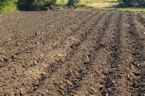 The Soil is Preparing for Plant Stock Photo - Image of farming, land ...