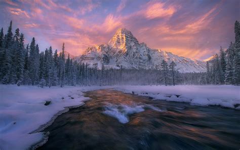 Canada, Alberta, Banff national Park, winter, forest, river, stream ...