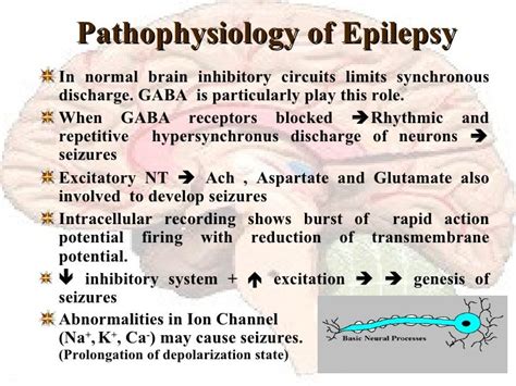 Epilepsy an overview