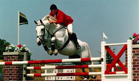 Horse Life and Love: Hanoverian Horses