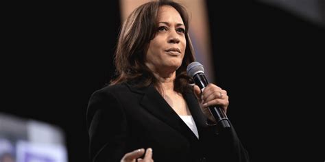 Kamala Harris-supported Minneapolis Freedom Fund bailed out dangerous ...